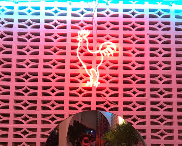 neon sign with a cock design